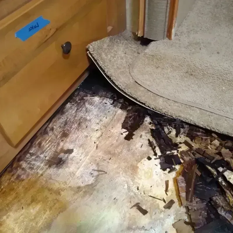 Best Wood Floor Water Damage Service in Lake Butler, FL